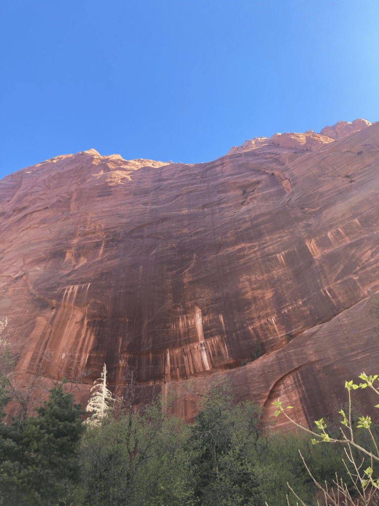 This image has an empty alt attribute; its file name is image-2.png